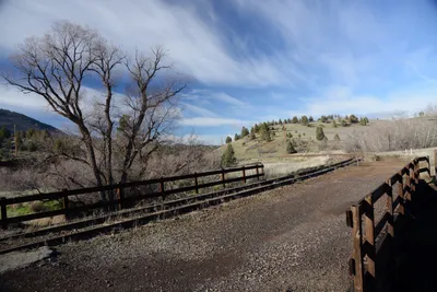 DSC_1062 (Large).JPG